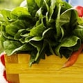 The Benefits of Eating at Organic Restaurants