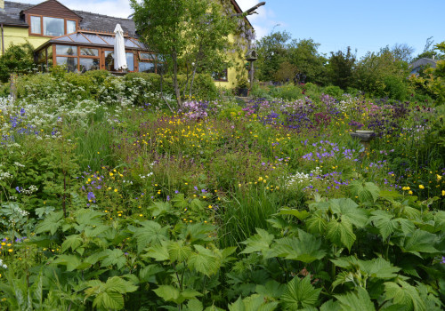 Exploring Gardens: A Comprehensive Overview