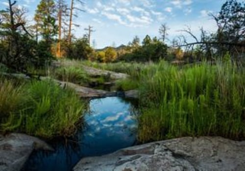 Exploring Preserved Areas, Parks, Gardens and Natural Sites